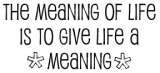 MEANING OF LIFE