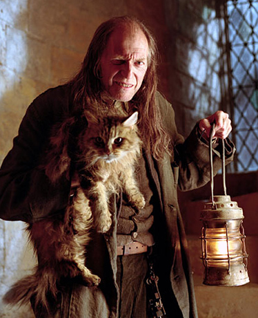 David Bradley as Argus Filch