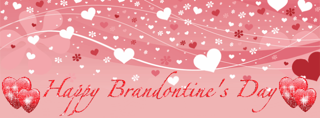 Team Brandontine's Valentine Banner