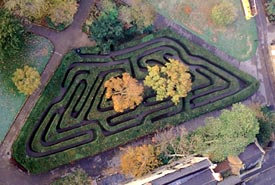 Hampton Court Palace maze