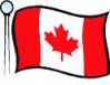 canada maple leaf the national flag