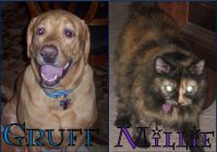 LNor19's pets: Gruff & Millie