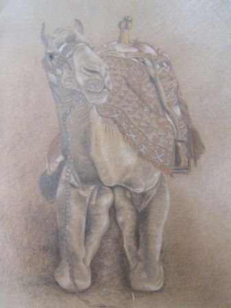 Camel by Irene Rheinwald