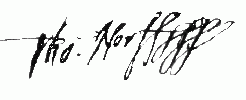 norfolk signature